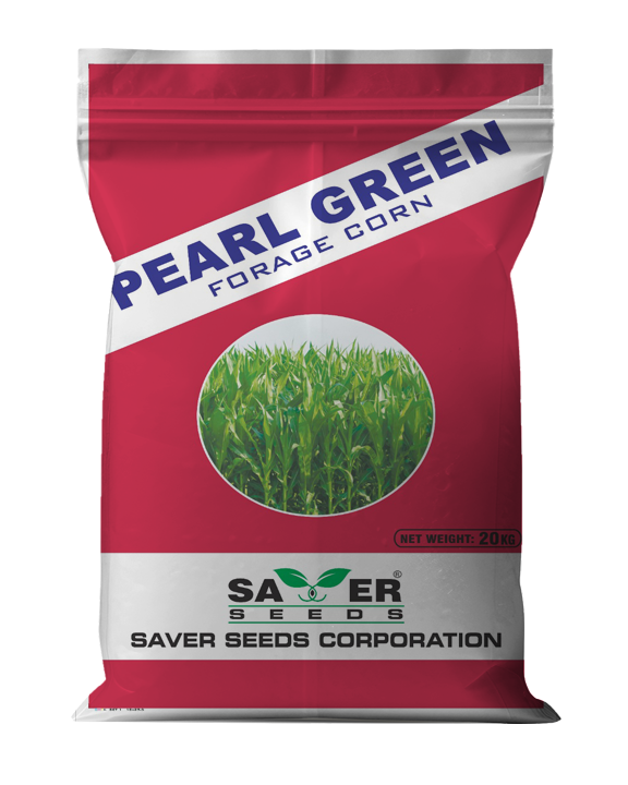 467559104Pearl Green.png